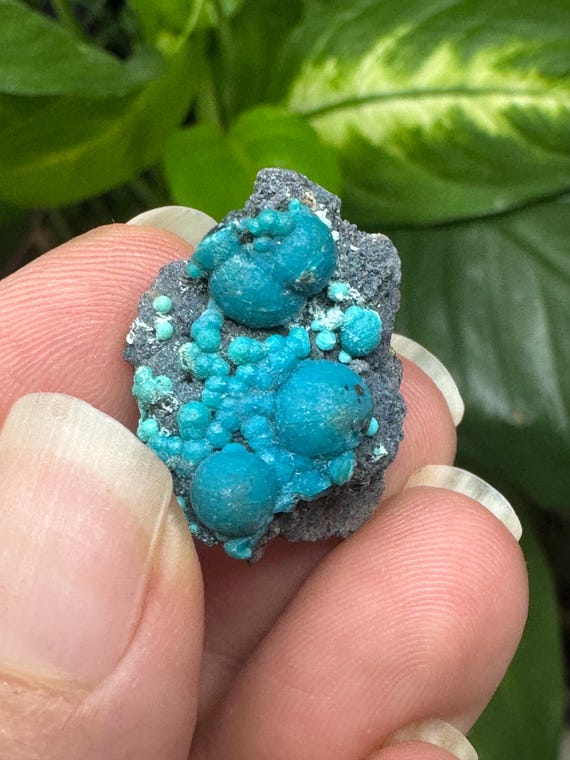 Chrysocolla~The Planet Mine~Arizona~Nature Made Goods~Ledford’s Minerals