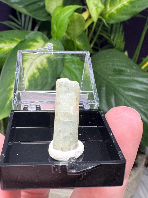 North Carolina Carter's Ridge Beryl var. Aquamarine Thumbnail~Ex Luther Thomas Collection~Nature Made Goods~Ledford's Minerals