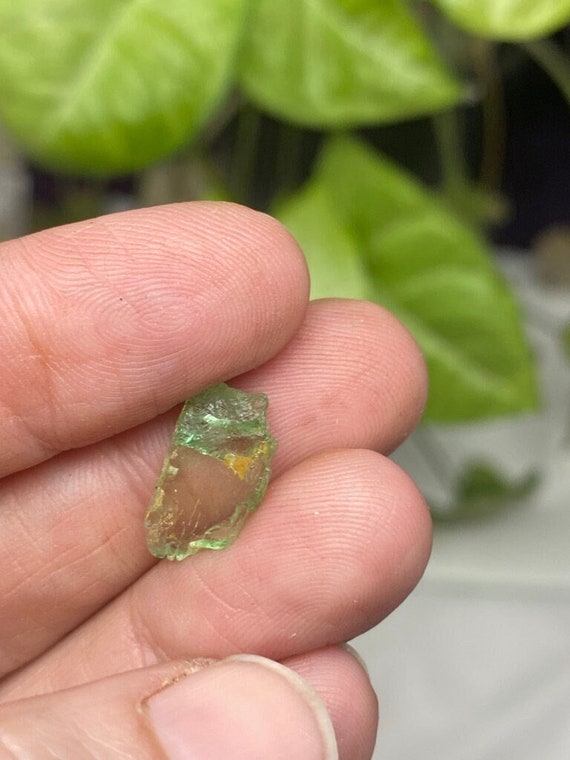 Rare Chromium Green North Carolina Bicolor Hiddenite Crystal