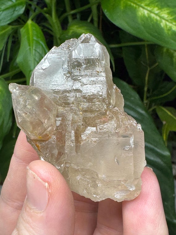 Quartz Crystal~Hiddenite North Carolina~Ex Terry Ledford Collection~Ledford’s Minerals