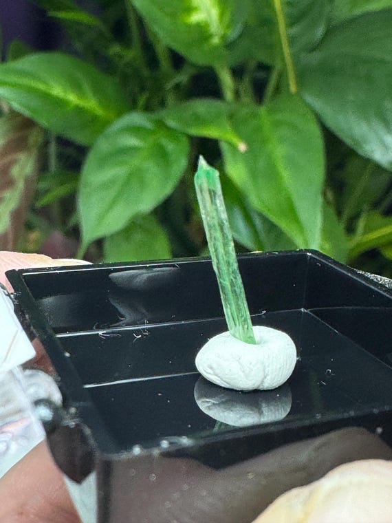 Rare Chromium Green North Carolina Hiddenite Spodumene Crystal Thumbnail~Ex Terry Ledford Collection~Ledford’s Minerals