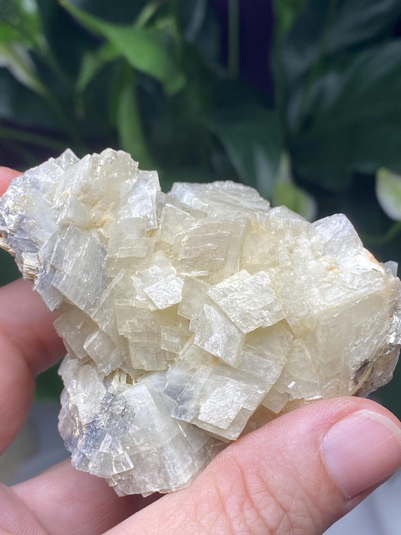 Lustrous North Carolina Calcite and Mica