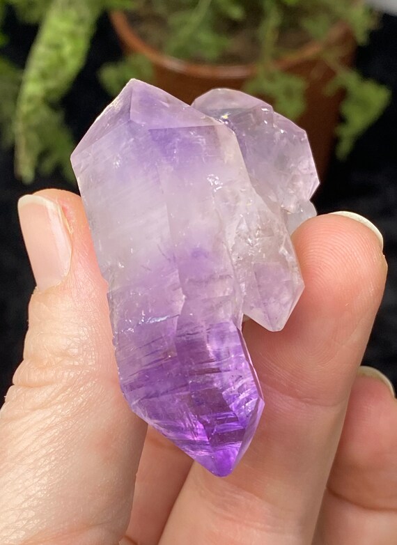 Jackson’s Crossroads Amethyst Cluster