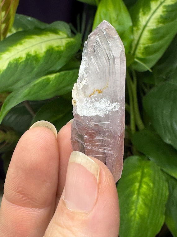Amethyst cluster~Vera Cruz Mexico~Nature Made Goods~Ledford’s Minerals