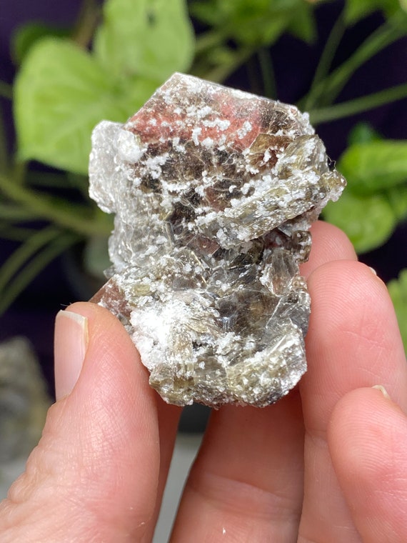 North Carolina Mica Cluster with Albite