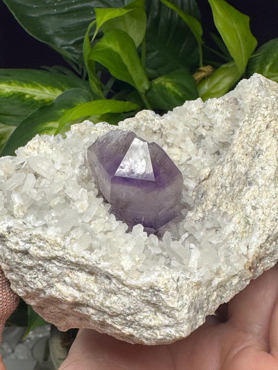Amethyst with Druzzy Crystals-Jackson's Crossroads Amethyst Mine-Wilkes County Georgia-Crystalline Dream Minerals - Ledfords Minerals