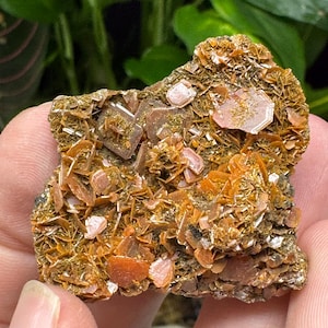 Vibrant Orange Wulfenite Cluster~Red Cloud Mine~Yuma, Arizona~Ledford’s Minerals