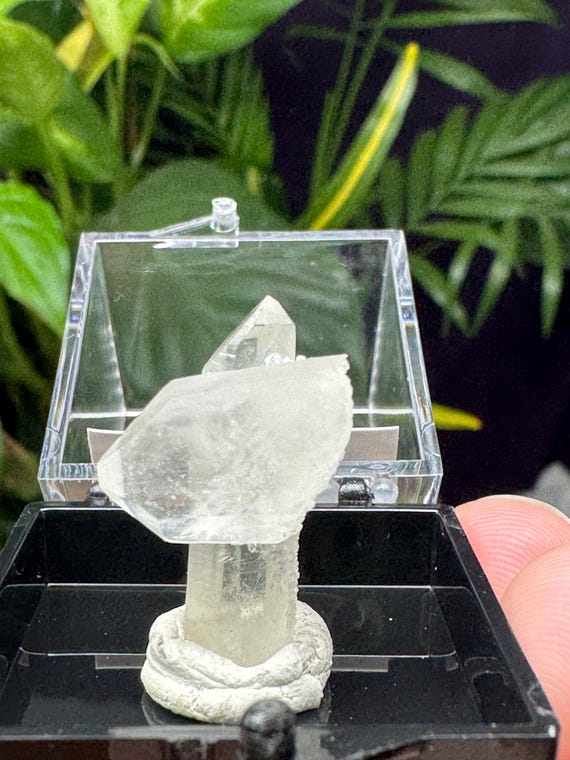 Quartz with Pyrite Inclusions Thumbnail~Purple Hope Claim Kings County WA~CrystallineDreamMinerals~Ledford's Minerals