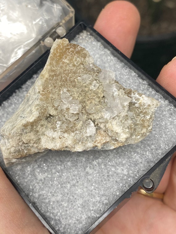 Appetite ~Foote Mine~Kings Mountain North Carolina~Ledford’s Minerals