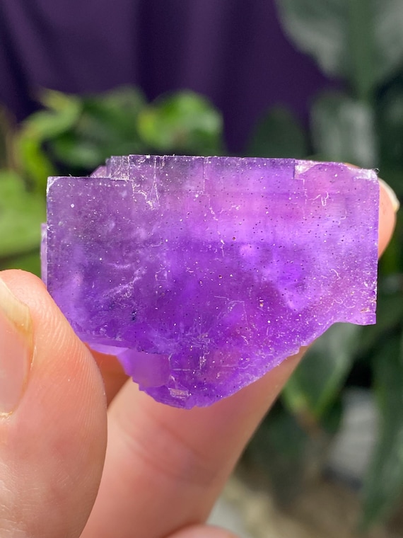 Hasties Quarry Illinois Fluorite with UV Reactive Petroleum Inclusions