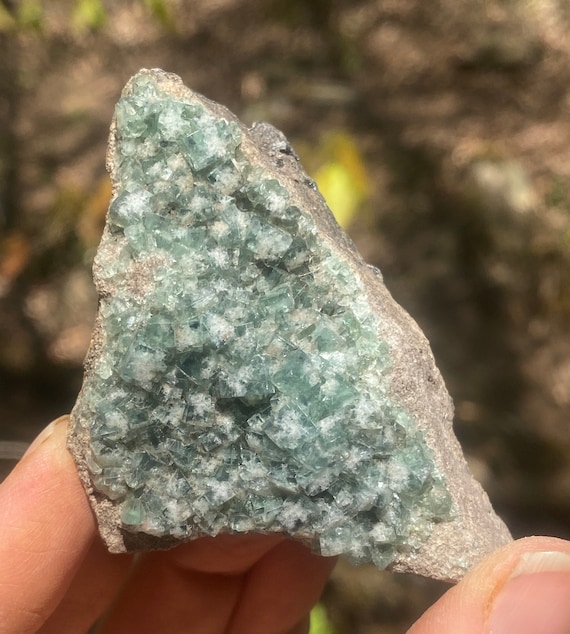Diana Maria Fluorite