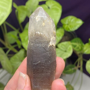 Hallelujah Junction Nevada Smoky Quartz Scepter