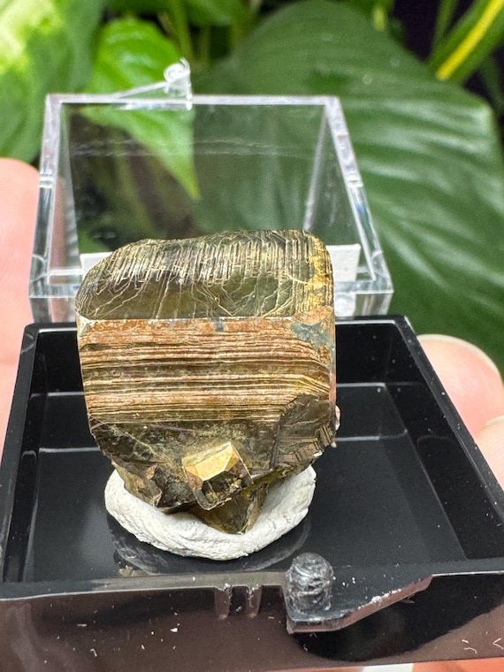 Purple Hope Claim Kings County WA Pyrite Thumbnail~CrystallineDreamMinerals~Ledford's Minerals