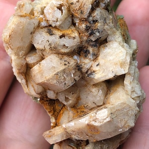 May include: A cluster of white, translucent crystals with a rough, natural texture. The crystals are embedded in a matrix of brown and gray rock.