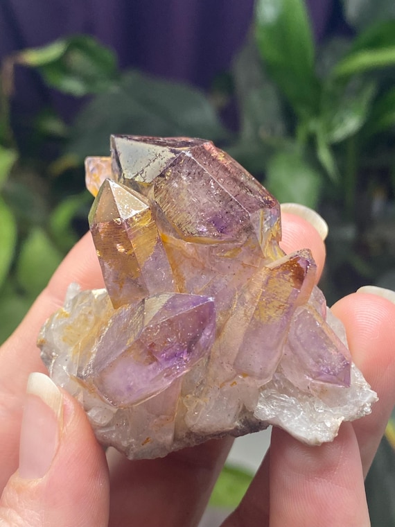 Zimbabwe Amethyst Cluster with Red Hematite Inclusions