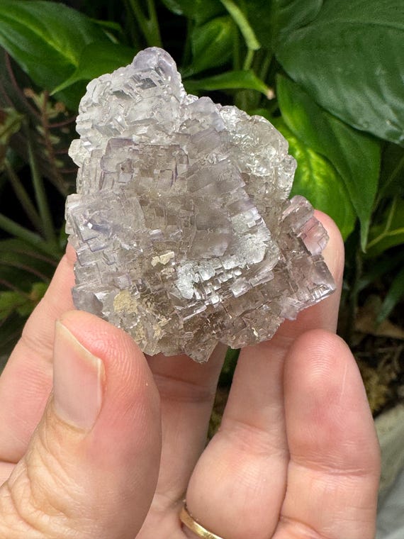 Purple Fluorite~Elmwood Mine~Smith County, Tennessee~Ledford’s Minerals