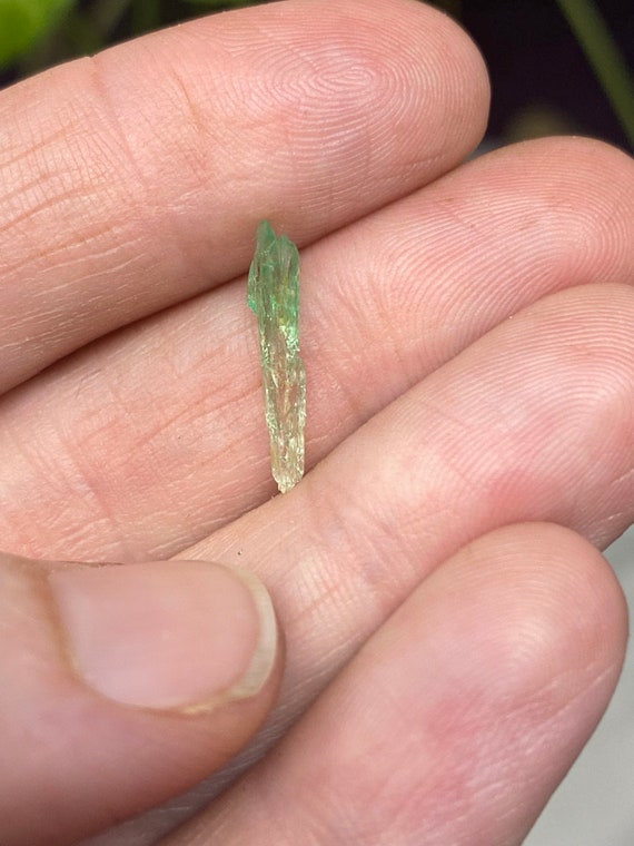 Rare Chromium Green North Carolina Bicolor Hiddenite Crystal