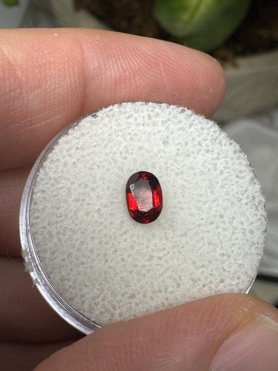 Oval Garnet Gemstone~Crystalline Dream Minerals~Ledfords Minerals
