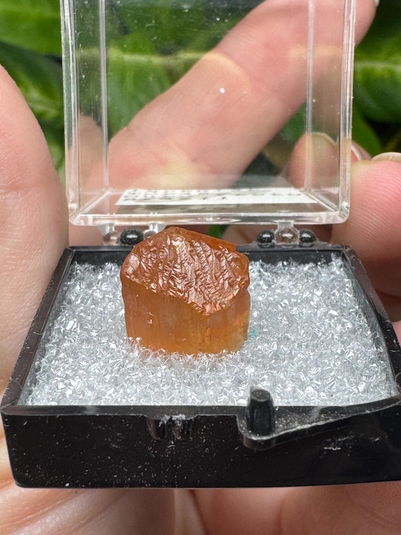 Imperial Topaz~Ouro Preto, Brazil~Crystalline Dream Minerals