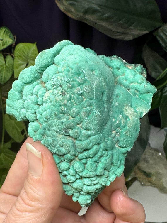 Malachite~Mexico~Ledford’s Minerals
