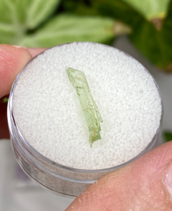 Rare Chromium Green North Carolina Hiddenite Crystal