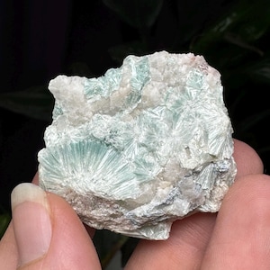 Puede incluir: Un cúmulo de cristales verdes y blancos con una textura rugosa y natural. Los cristales tienen un aspecto en capas, escamoso.