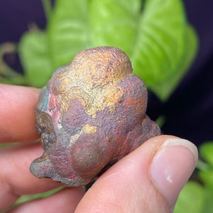 North Carolina Crowder’s Mountain Iridescent Hematite