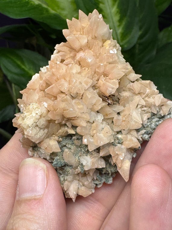 Dogtooth Calcite Cluster~Ledford’s Minerals