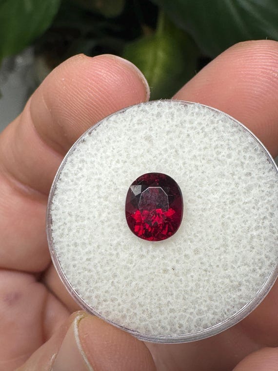 Oval Garnet Gemstone~Crystalline Dream Minerals~Ledfords Minerals