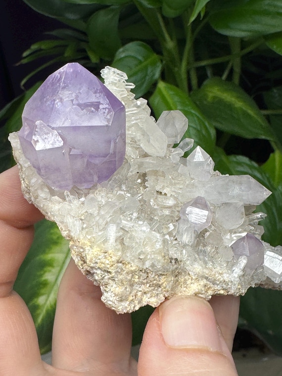 JXR Amethyst Cluster with Rosettes and Scepters on DruzyJackson’s Crossroads Amethyst Mine~Wilkes County, Georgia~Ledford’s Minerals