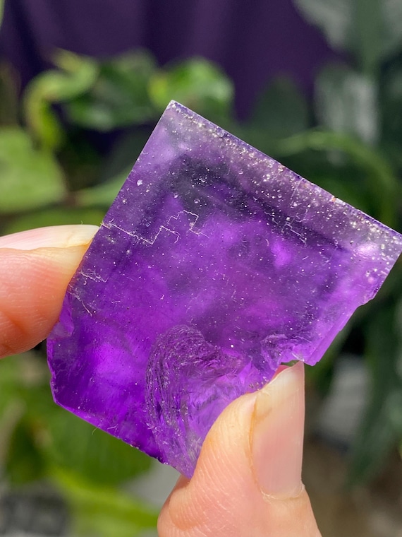 Hasties Quarry Illinois Fluorite with UV Reactive Petroleum Inclusions