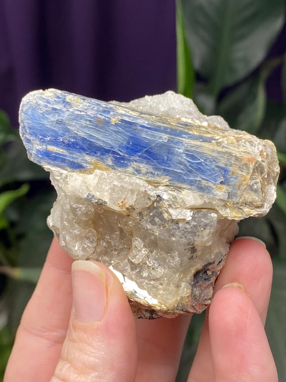Lustrous North Carolina Kyanite Blade Cluster Ex Terry Ledford