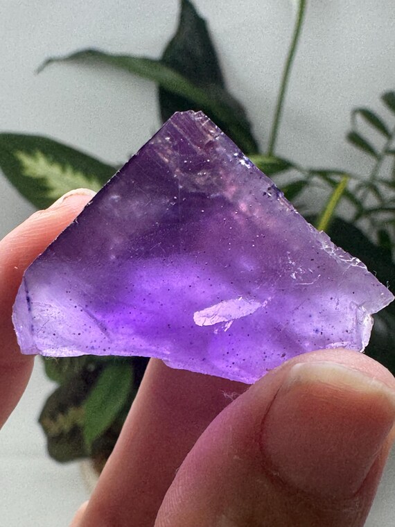 Purple Hasties Quarry Illinois Fluorite with UV Reactive Petroleum Inclusions~Ledford’s Minerals