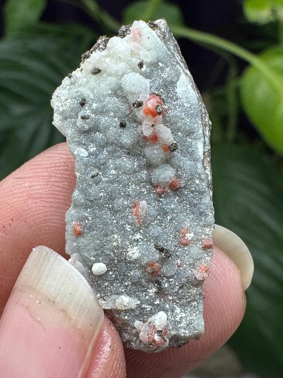 Quartz after Wulfenite Pseudomorph on Chalcedony~3 x 1.5cm~The Finch Mine, Gila County, Arizona~Ledford’s Minerals
