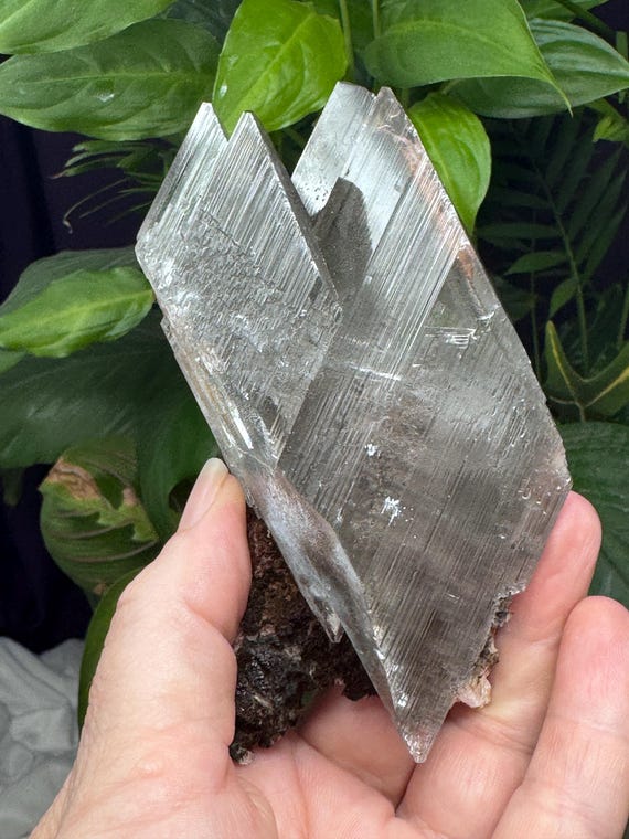 Bermejillo Selenite~Durango, Mexico~Ledford’s Minerals