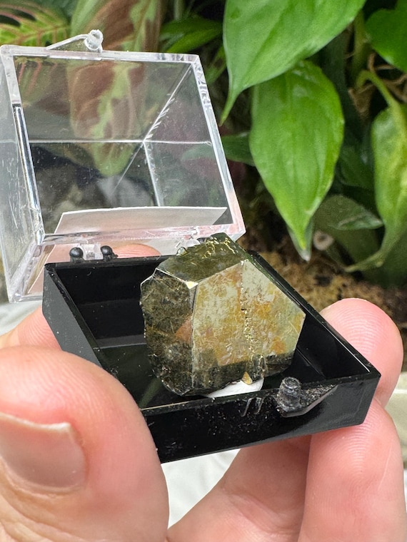 Pyrite Crystal Thumbnail ~Purple Hope Claim~Washington~Collected by Joseph George~Ledford’s Minerals