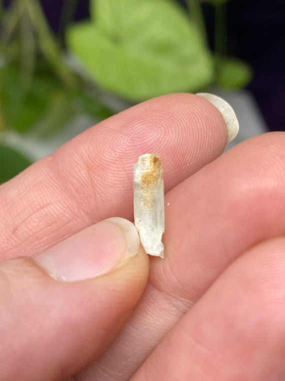 North Carolina Beryl var. Aquamarine