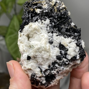 Albite with Tourmaline and Mica