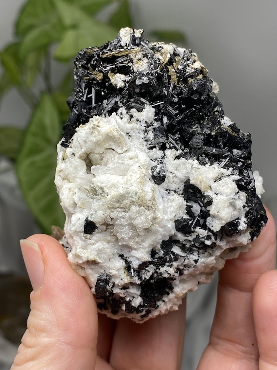 Albite with Tourmaline and Mica