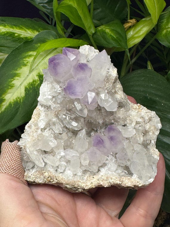 Amethyst with Druzzy Crystals-Jackson's Crossroads Amethyst Mine-Wilkes County Georgia-Crystalline Dream Minerals - Ledfords Minerals