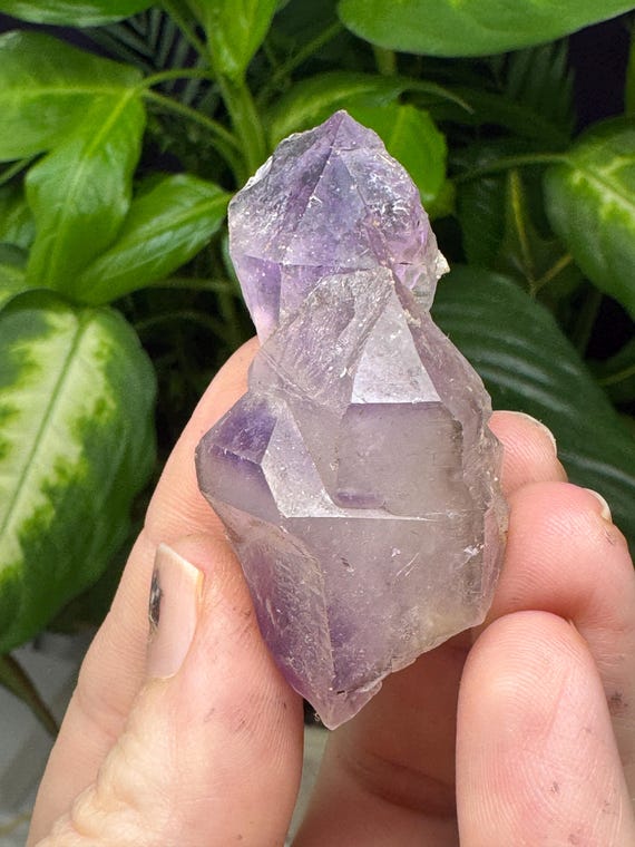 Double Terminated Amethyst Cluster~Jackson's Crossroads Amethyst Mine~Wilkes County Georgia~Crystalline Dream Minerals~Ledfords Minerals