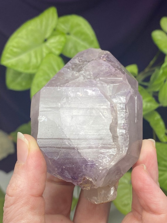 Ivy Farms Georgia Amethyst Scepter