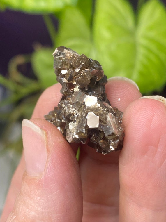 Lincolnton NC Muscovite Cluster