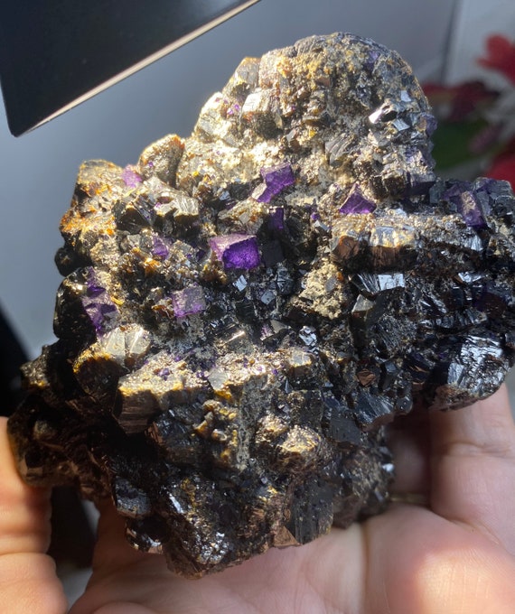 Cave In Rock Illinois Dark Purple Fluorite on Sphalerite
