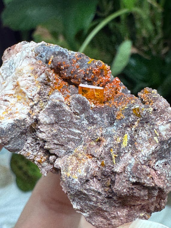 Vibrant Orange Wulfenite Cluster~Rowley Mine ~Painted Rock Mining District, AZ~Ledford’s Minerals