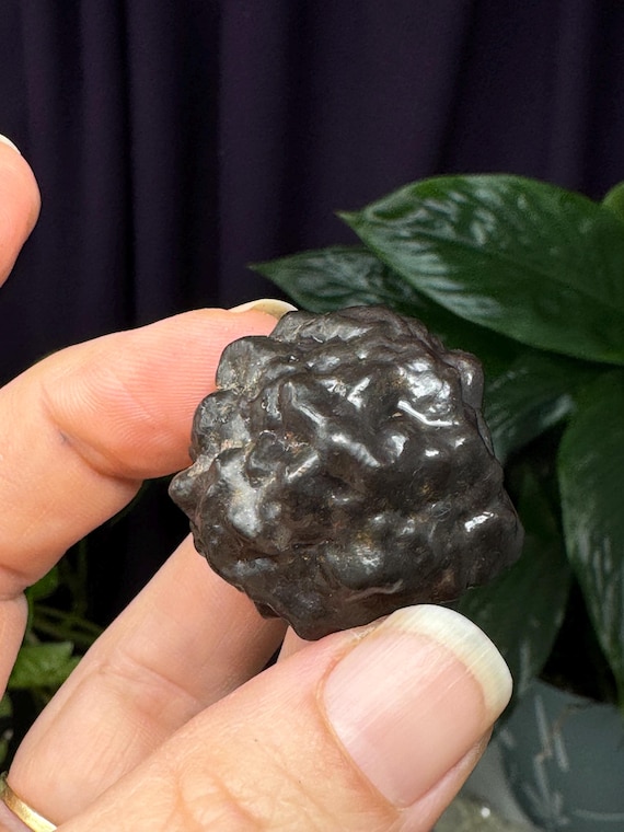 Egyptian Prophecy Stones~Marcasite and Pyrite Pseudomorph Limonite~Ledford’s Minerals