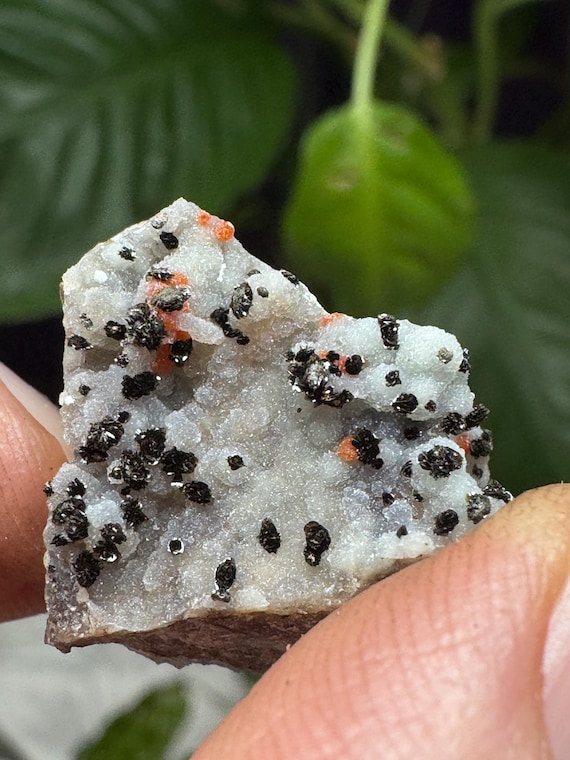 Quartz after Wulfenite Pseudomorph on Chalcedony~2.8 x 2cm~The Finch Mine, Gila County, Arizona~Ledford’s Minerals