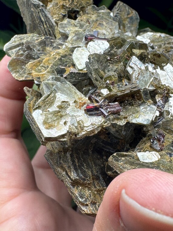 Lustrous Green Mica Cluster with Red Rutile-NAEM~Hiddenite,NC~Ex Terry Ledford Collection~Ledford’s Minerals