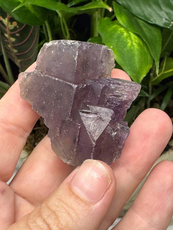 Purple Fluorite~Elmwood Mine~Smith County, Tennessee~Ledford’s Minerals