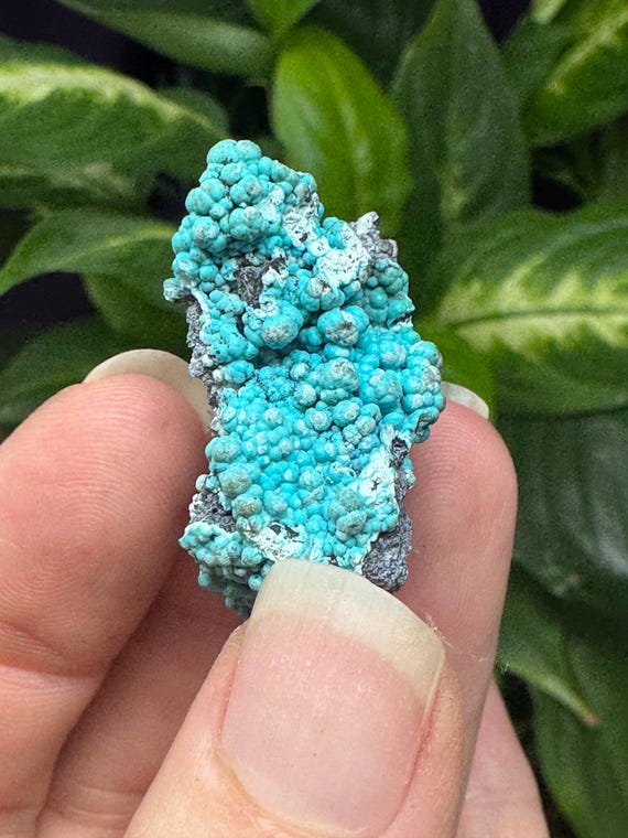 Chrysocolla~The Planet Mine~Arizona~Nature Made Goods~Ledford’s Minerals
